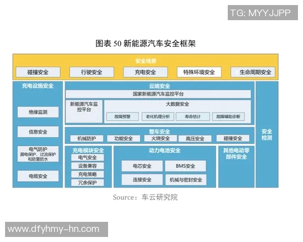 深圳网球队实力分析与表现评估：数据透视与趋势解读
