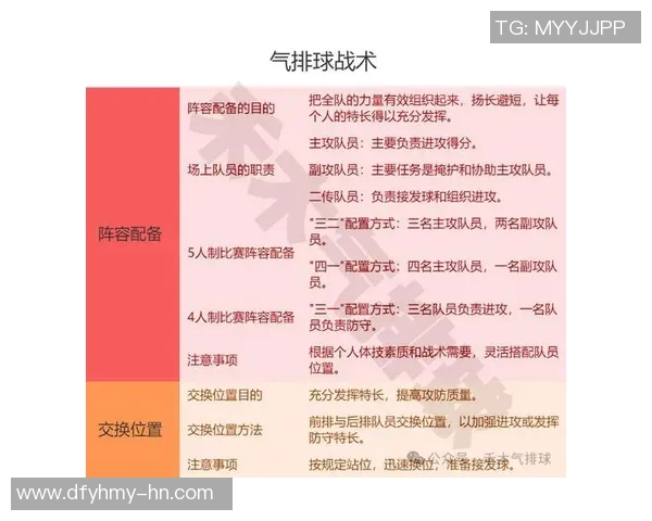 深入分析杭州排球队的控制打法及其战术优势与应用