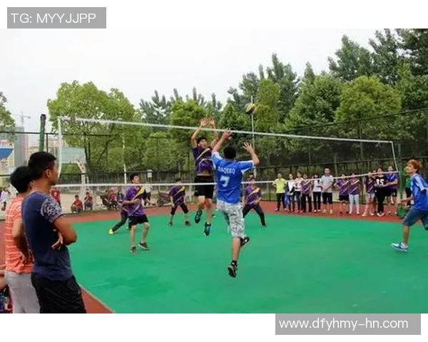 上海排球队荣登排球节奏排行榜第五名展现强劲实力与团队风采