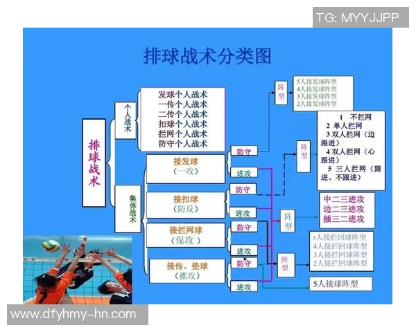 广州排球队战术深度解析与对比研究揭示球队优势与不足