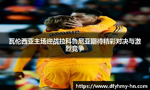 米乐m6官网
